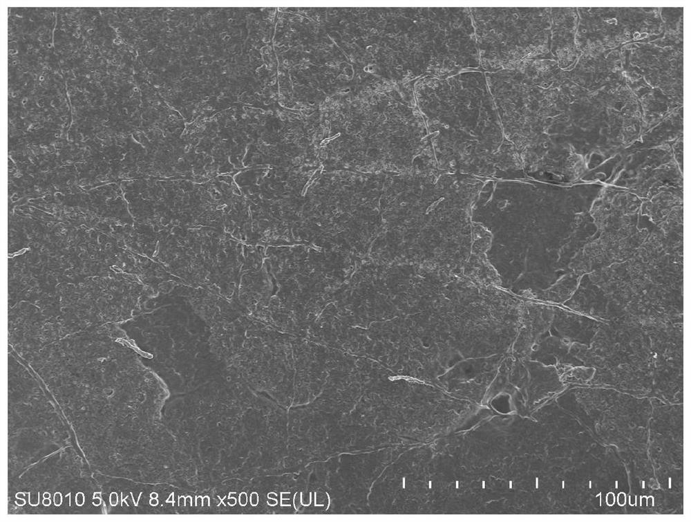 Composite chitosan coating film for poultry egg preservation as well as preparation method and application thereof