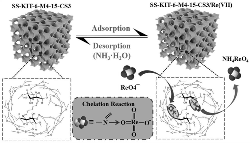 3D chitosan/silicon dioxide composite material and preparation method and application thereof in rhenium adsorption and separation