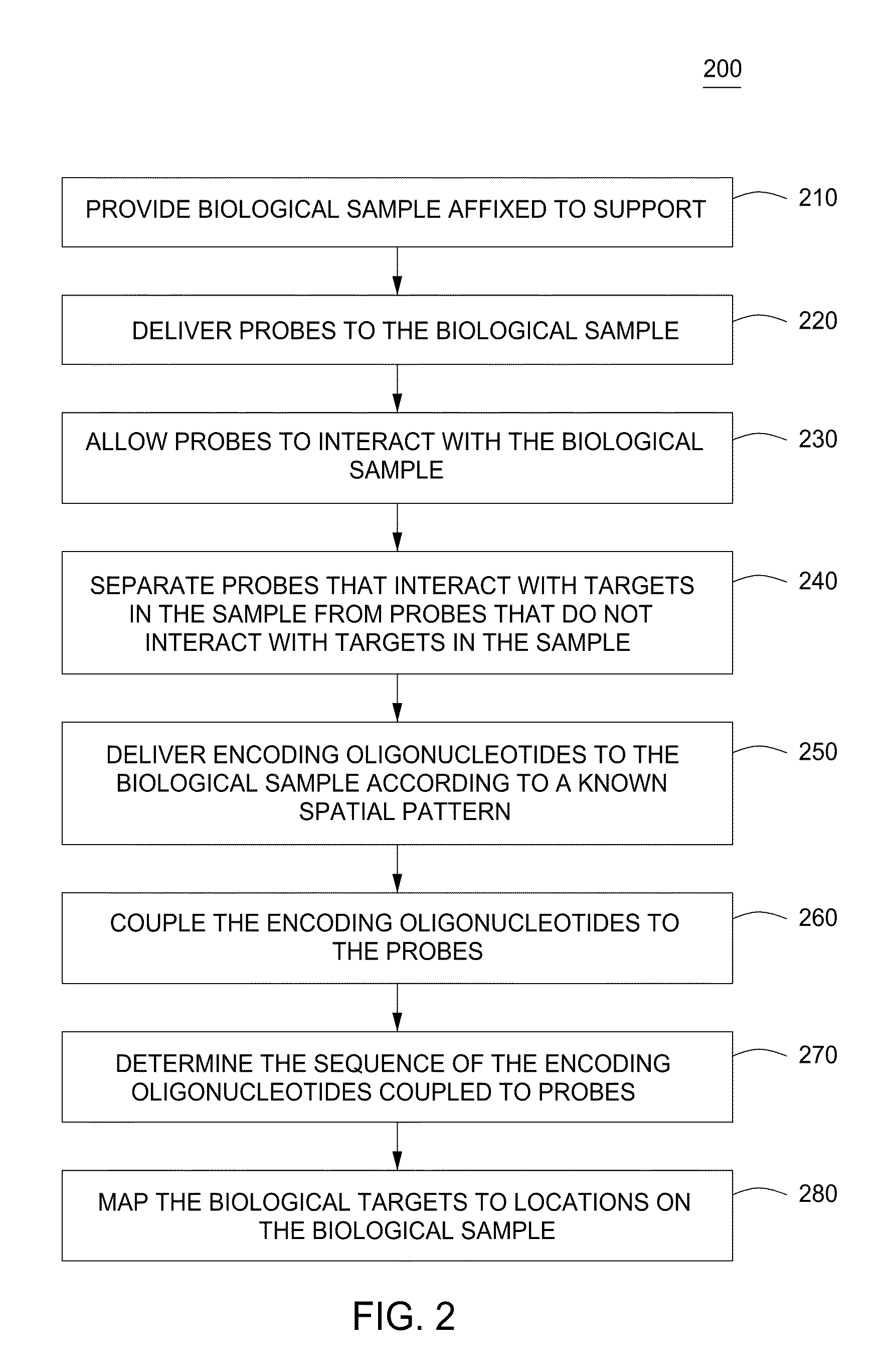 Spatially encoded biological assays