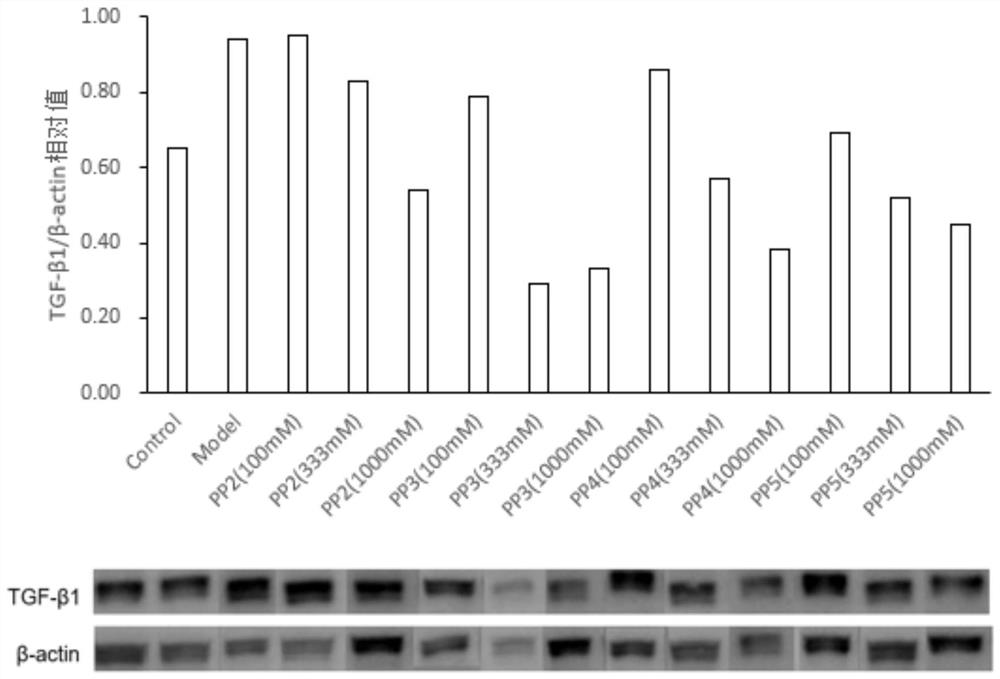 A compound targeting ubiquitination to degrade TGF-β1 and its preparation method and application