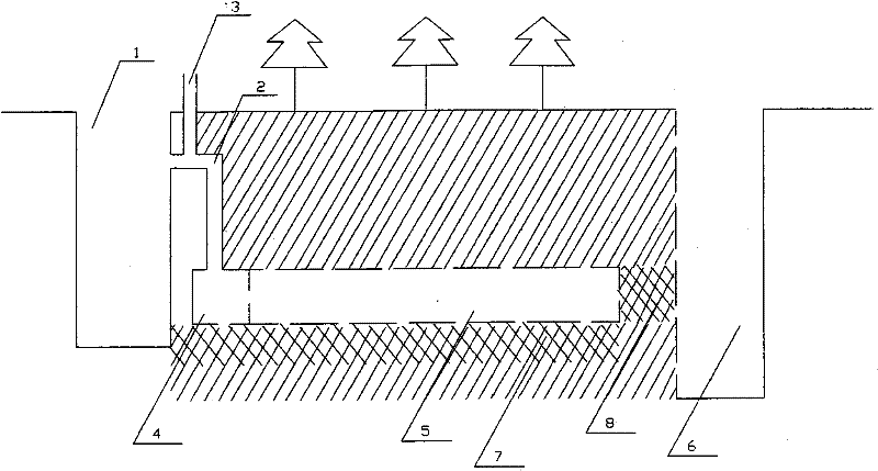 Urban domestic sewage natural treatment method