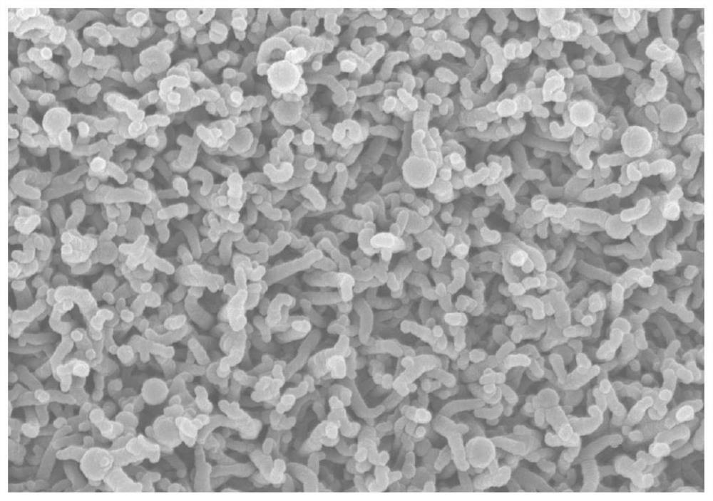 Polyamide nanofiltration membrane with pattern surface and preparation method