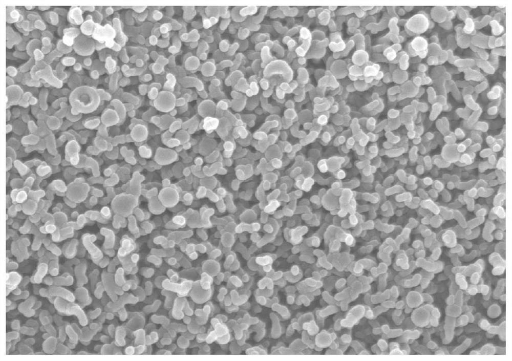 Polyamide nanofiltration membrane with pattern surface and preparation method