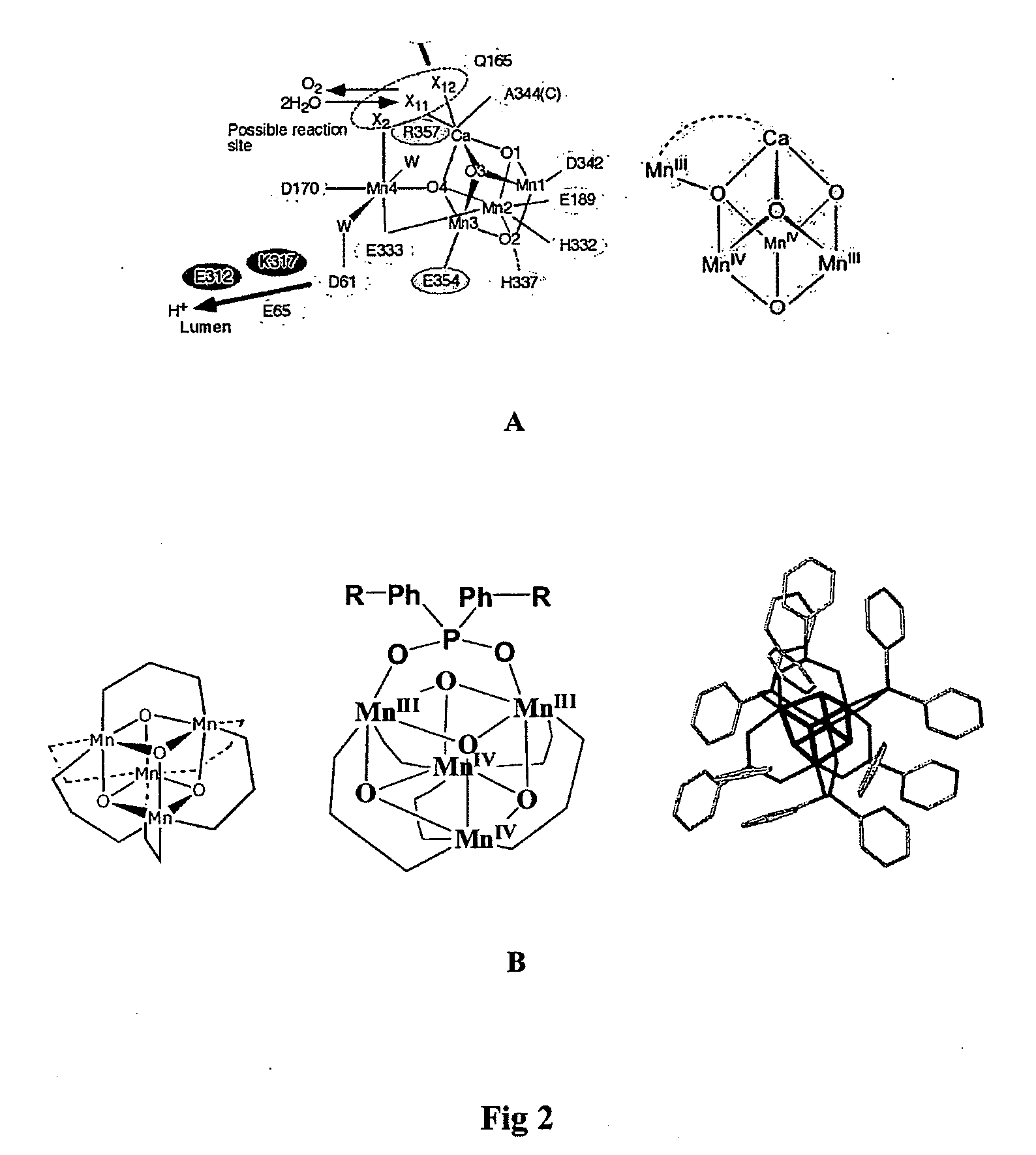 Water Oxidation Catalyst