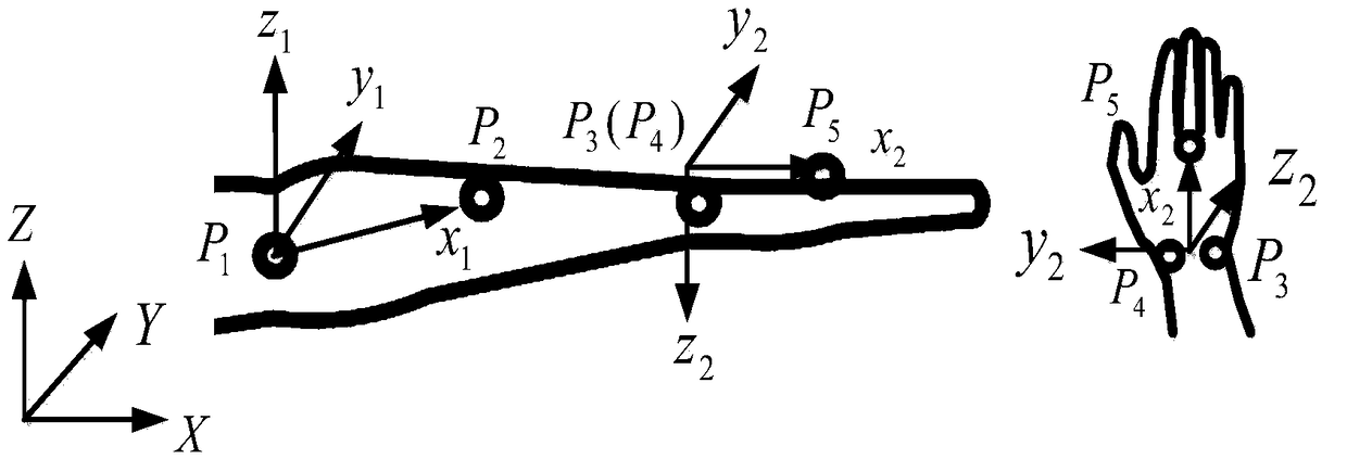 Myoelectricity continuous decoding method for man-machine natural driving angle of prosthetic wrist joint