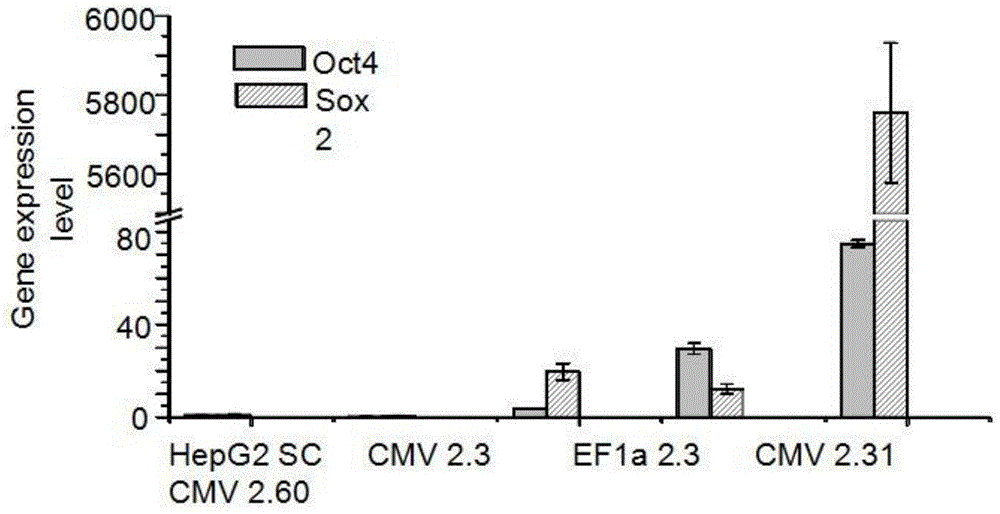 Dendritic cell vaccine and preparation method and application of dendritic cell vaccine