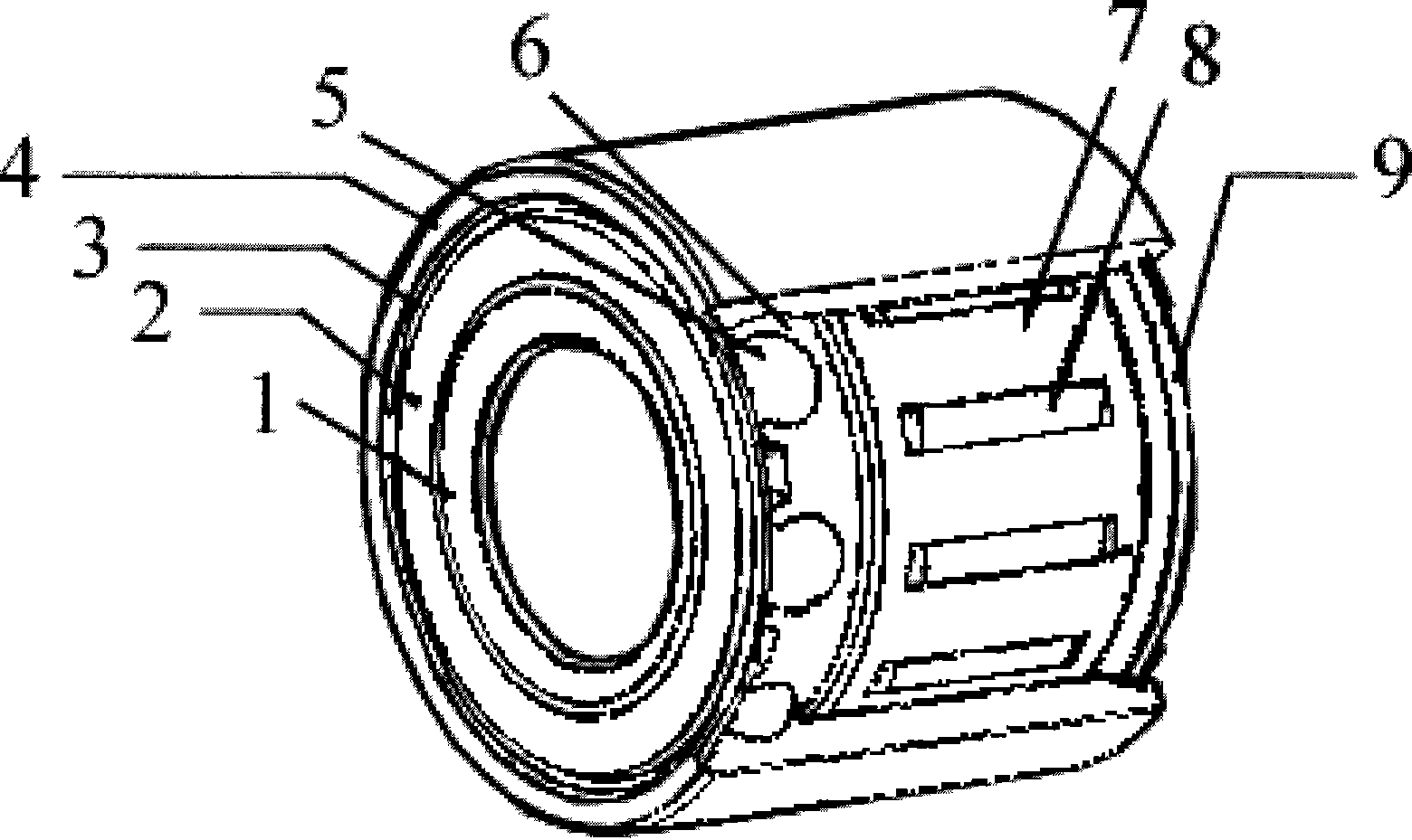 Bearing with eccentric combination of rolling needles and deep groove balls