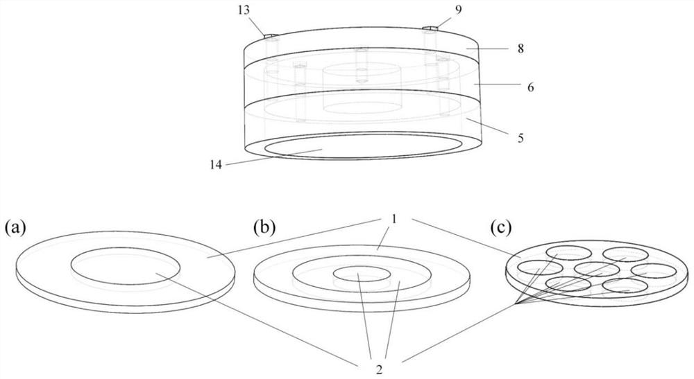 Magnetic control negative pressure enhanced adhesion device capable of imitating octopus sucker