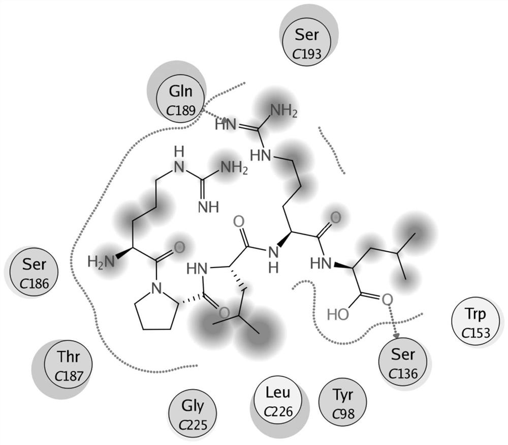 A kind of oligopeptide and its derivative and application