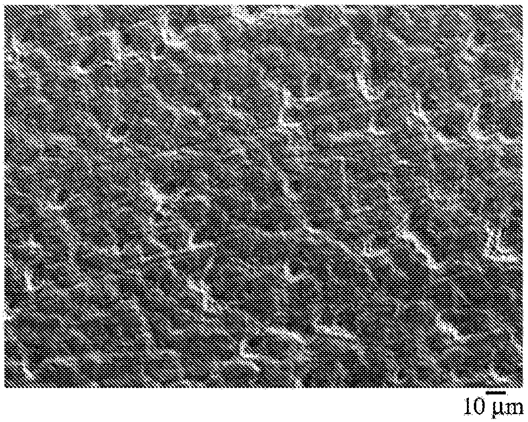 Piston ring and manufacturing method therefor