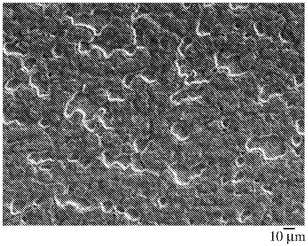 Piston ring and manufacturing method therefor