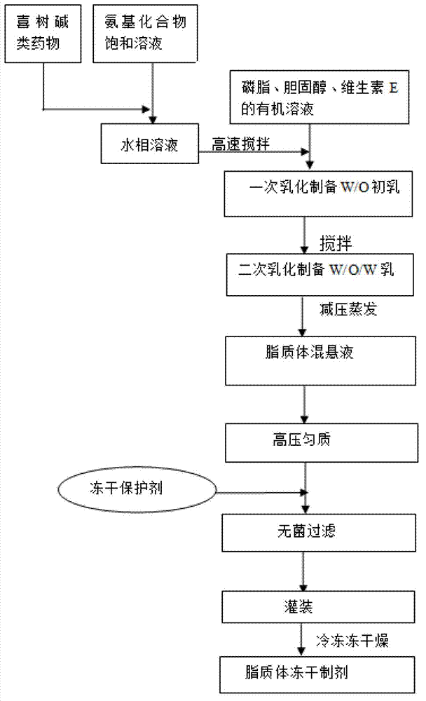 Camptothecin medical lipidosome composition and preparation method thereof