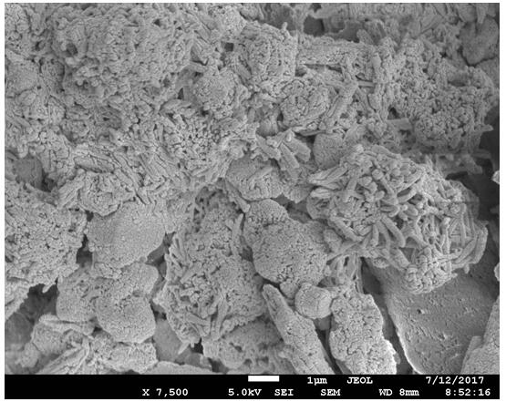 Geopolymer cement material and preparation method thereof