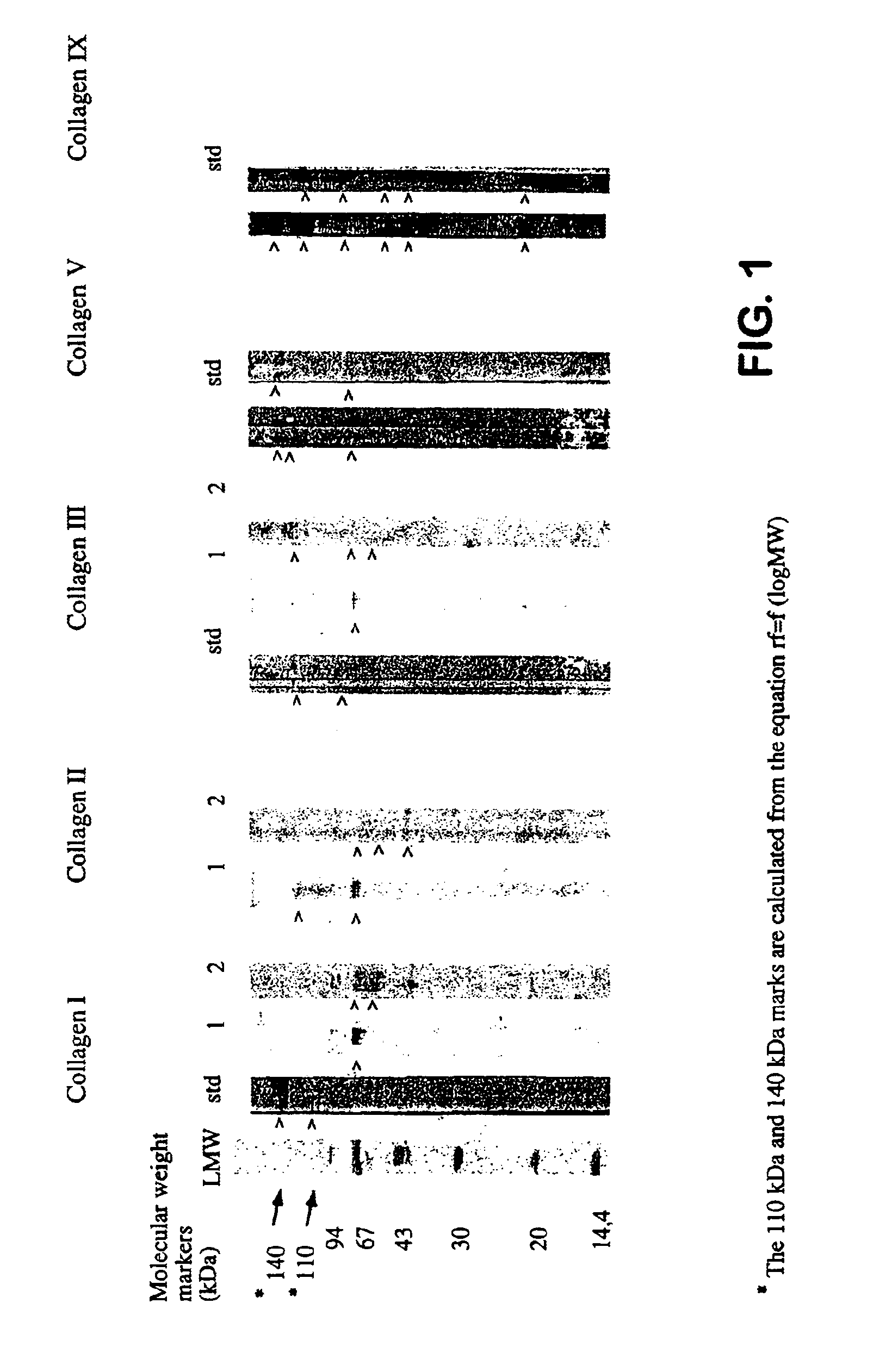 Method for preparing a composition by extraction of mother-of-pearl, composition obtained by said method and use thereof in cosmetics and dermatology