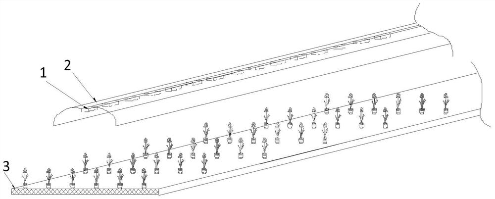 Optical device for plant illumination and plant cultivation device comprising the optical device