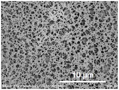 A kind of polymer coating diaphragm and preparation method thereof