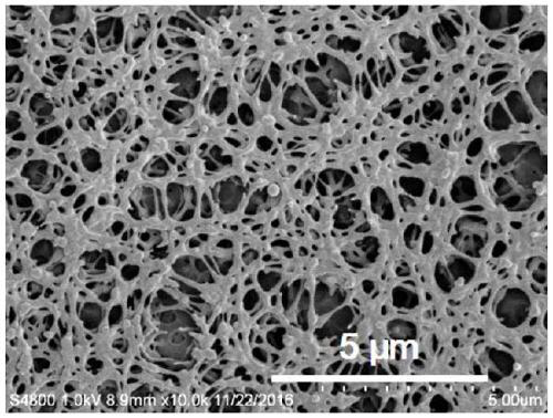 A kind of polymer coating diaphragm and preparation method thereof