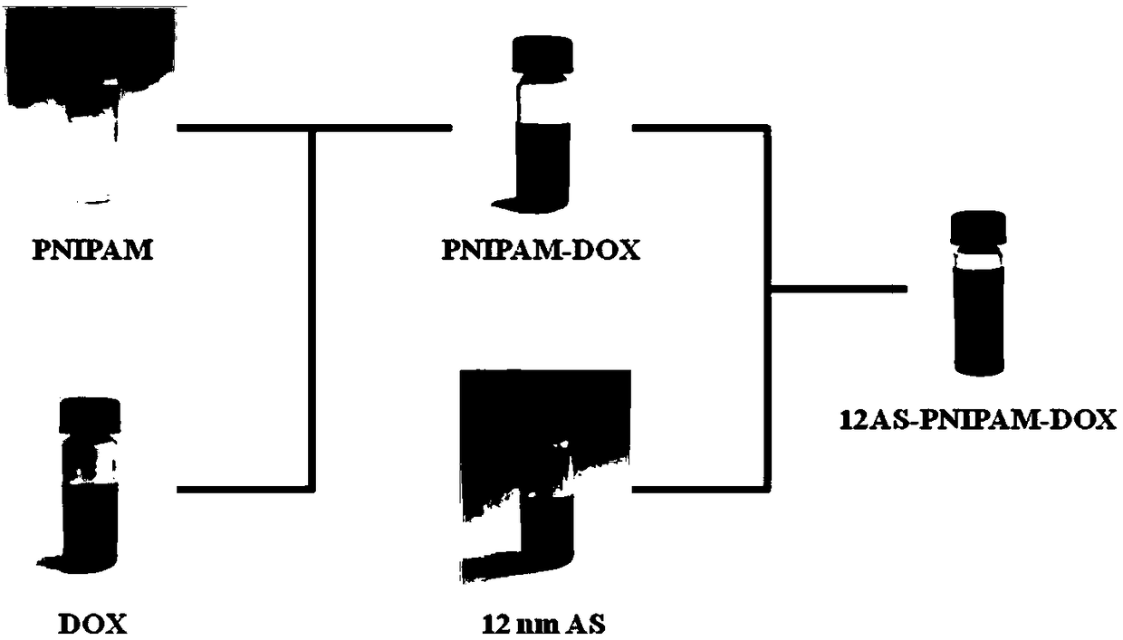 Composite drug carrier based on metal nanoparticles and microgel and application thereof