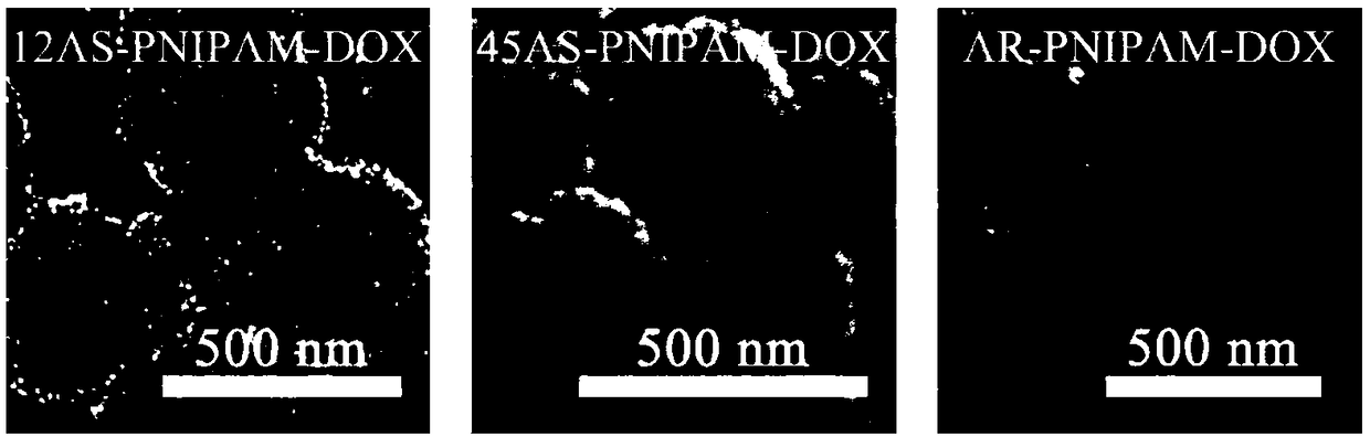 Composite drug carrier based on metal nanoparticles and microgel and application thereof