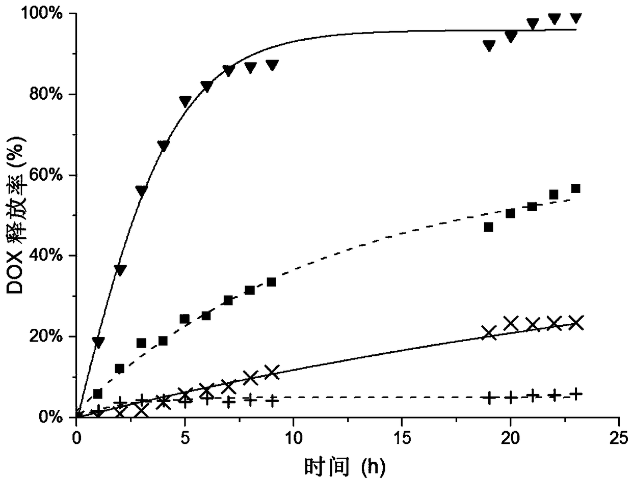 Composite drug carrier based on metal nanoparticles and microgel and application thereof