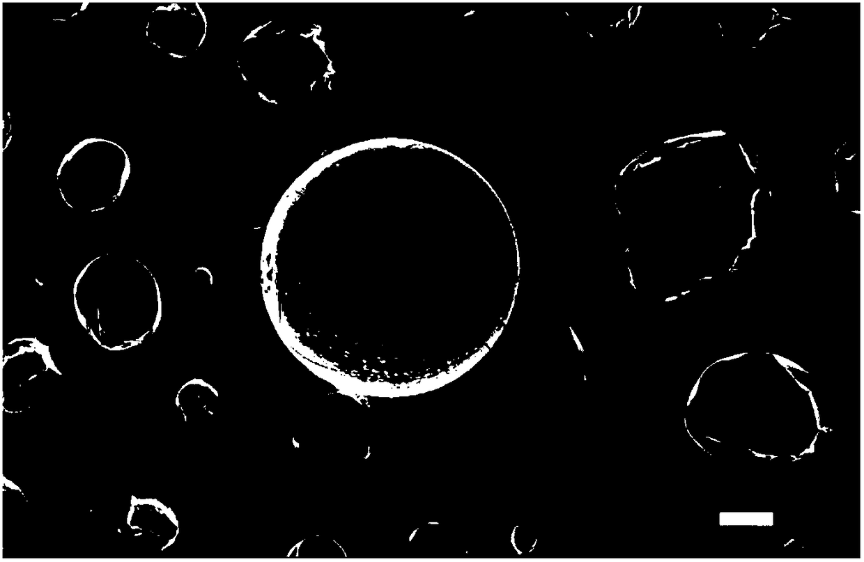 A treatment method for radioactive waste resin