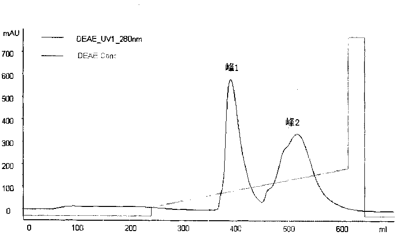 Polyethylene glycol modified human serum albumin and preparation method thereof