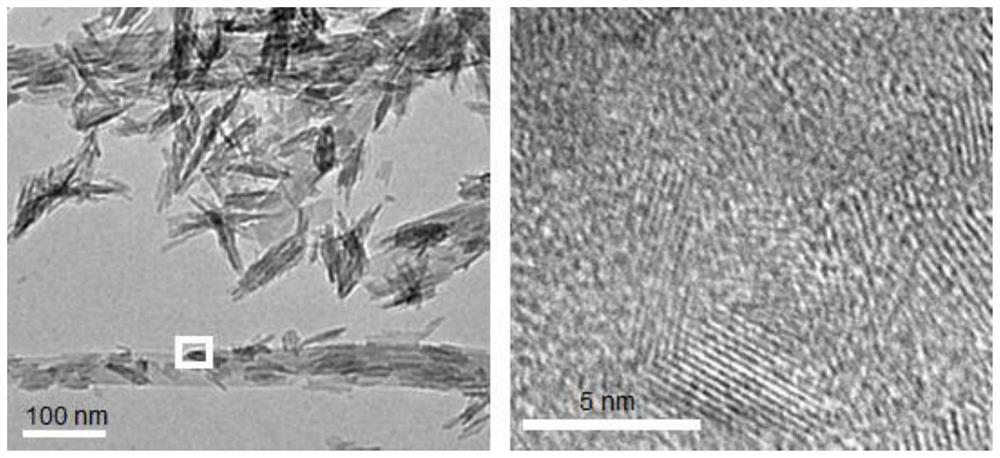 Double-phase calcium phosphate material and toothpaste containing same