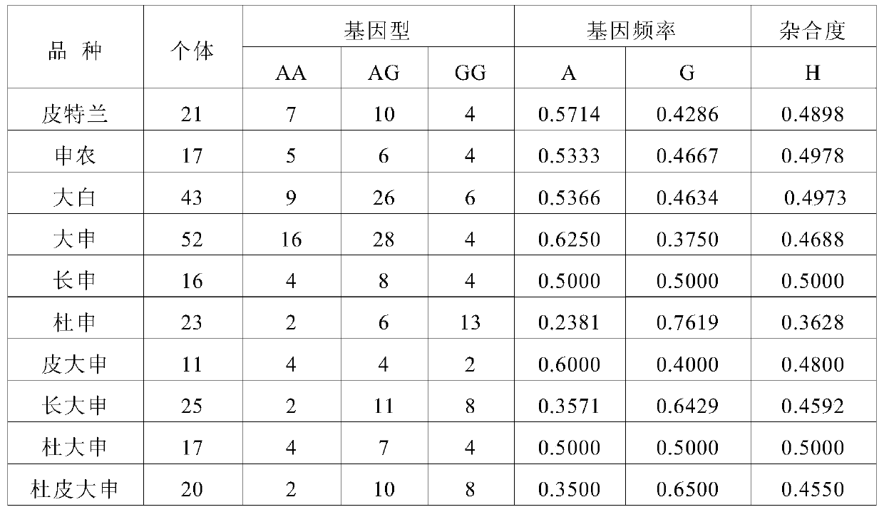 SNP molecular markers for traceability on pig chromosome 6 and its application