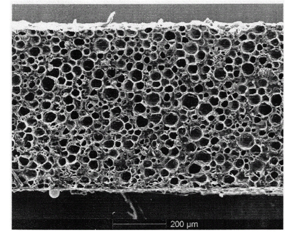 Thermal insulation paint and preparation method thereof and thermal insulation coating