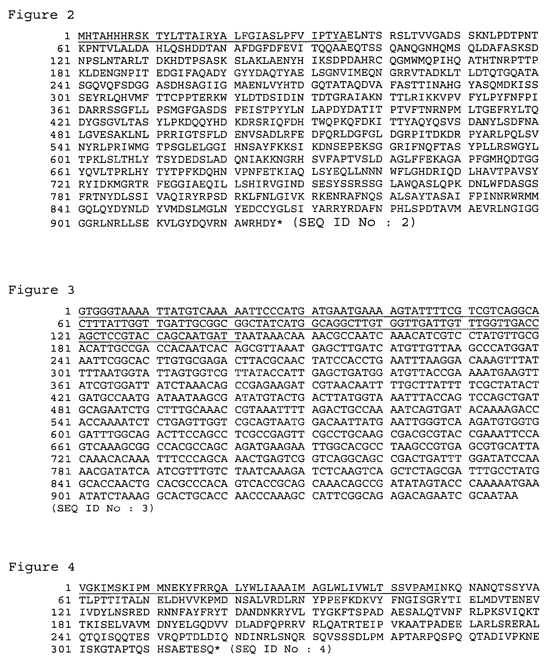 Moraxella (Branhamella) catarrhalis polypeptides and corresponding DNA fragments