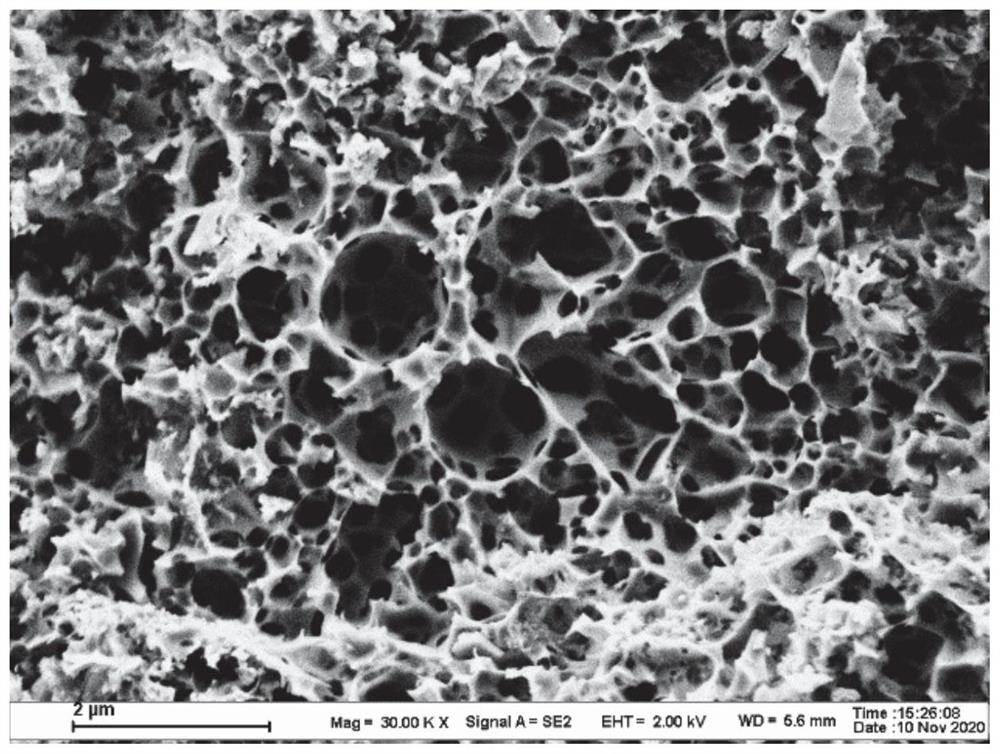 Distiller's grains-based biochar for adsorbing multi-component organic pollutants and preparation method thereof