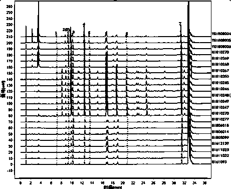 UPLC characteristic chromatogram construction method and identification method of rhizoma cibotii medicinal material and scalded rhizoma cibotii medicinal material