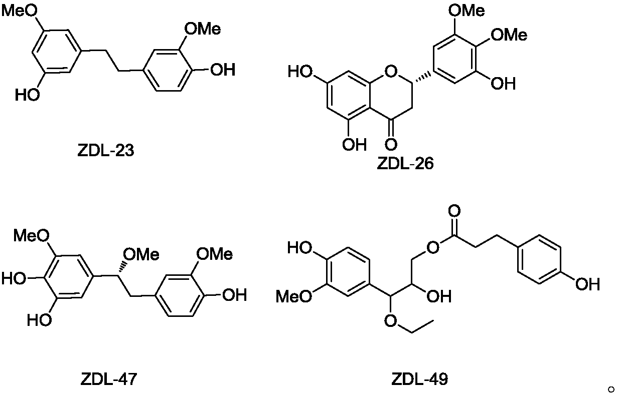 Dendrobium loddigesii extract and application thereof to preparation of cosmetics