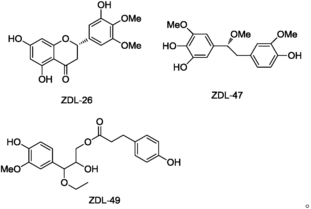 Dendrobium loddigesii extract and application thereof to preparation of cosmetics