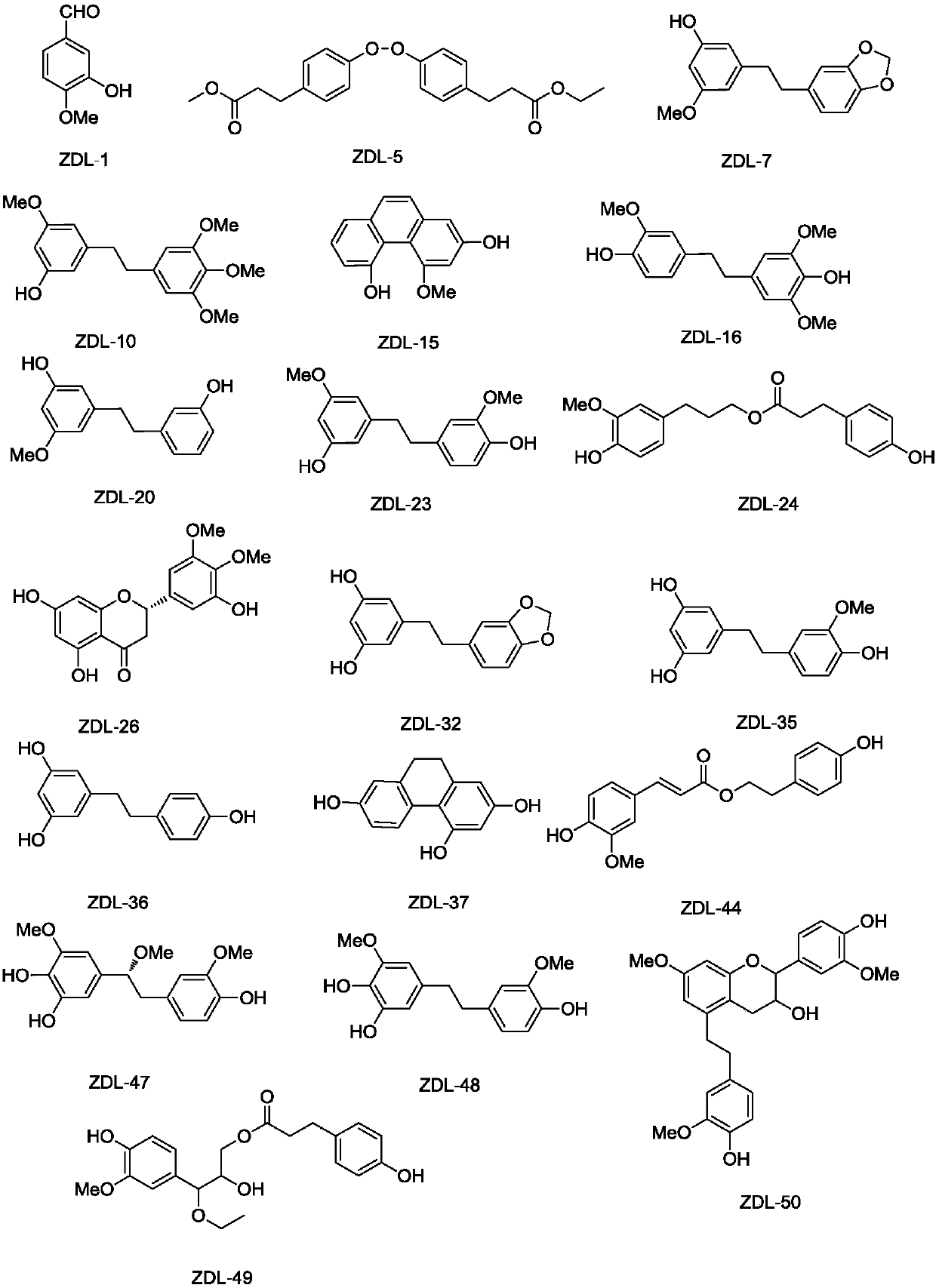 Dendrobium loddigesii extract and application thereof to preparation of cosmetics