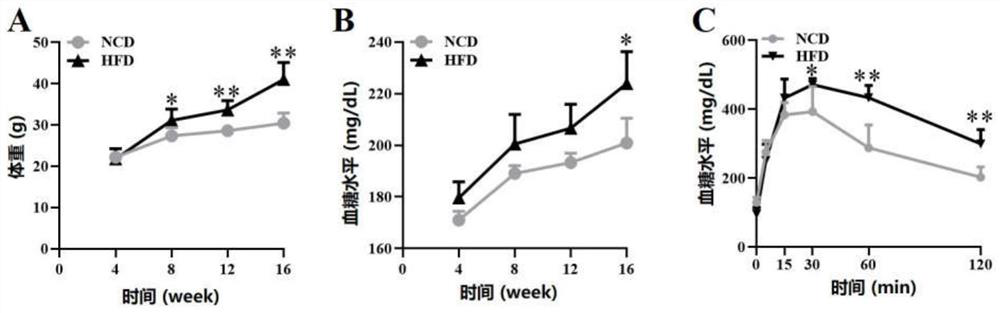 Application of serum extracellular vesicle miR-503-5p in preparation of diagnostic kit for type-2 diabetes