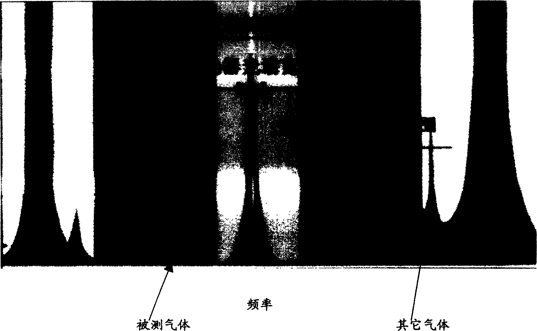 Method for on-line monitoring dioxin by tunable laser spectrum with flight time mass spectrum