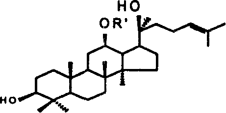 Process for synthesizing 20(S)-ginsenoside Rh2