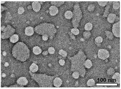 Synthesis of Amphiphilic β-Cyclodextrin Star Polymer and Its Micellization Application