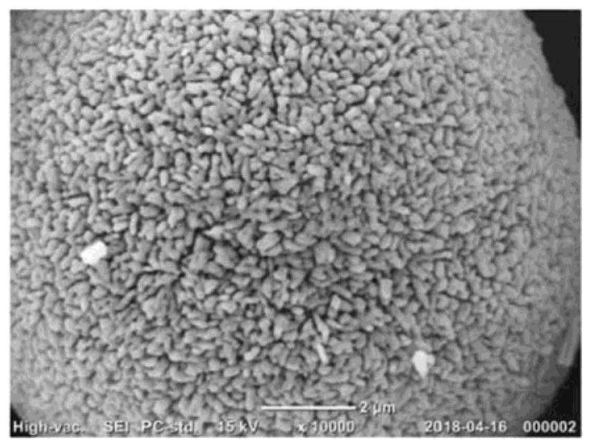 Cathode active material for lithium secondary battery, preparation method therefor, and lithium secondary battery comprising same