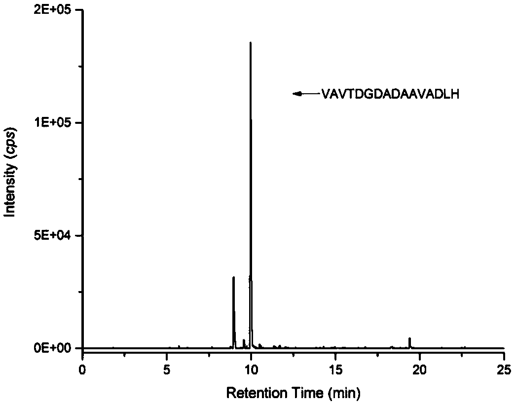 Method for identifying penaeidae by utilizing special peptide segment group