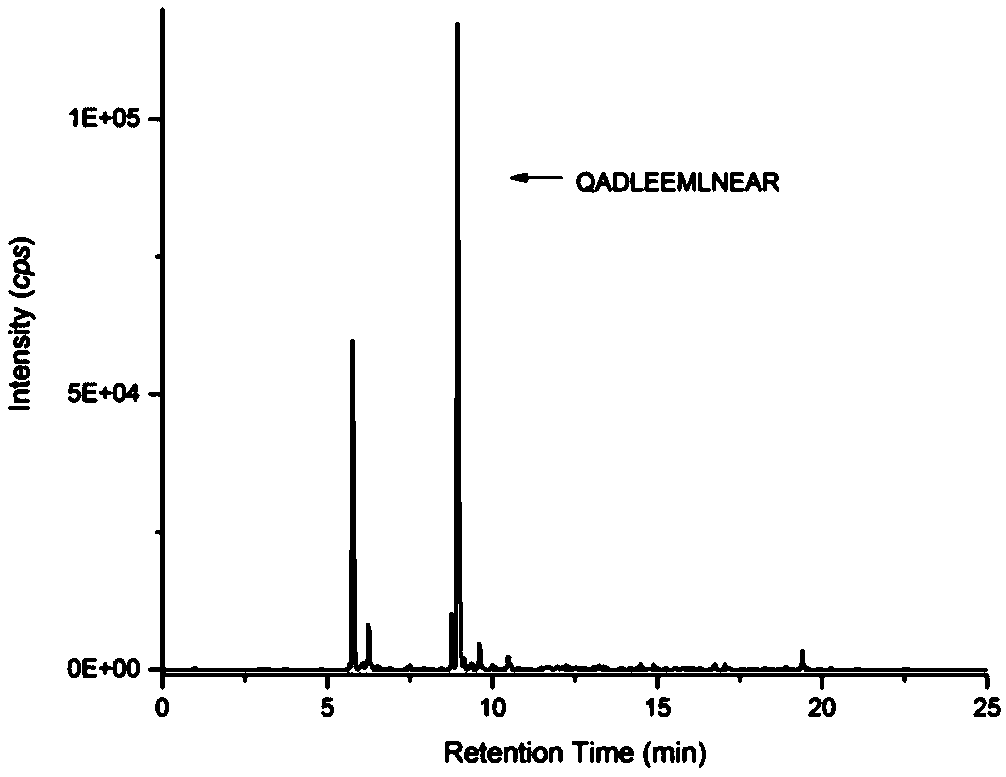 Method for identifying penaeidae by utilizing special peptide segment group