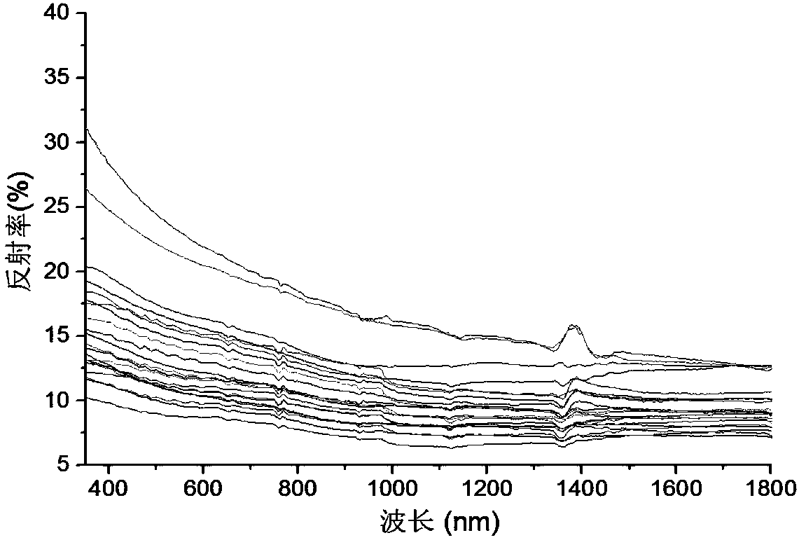 Anshan type iron ore type determining method based on spectral features