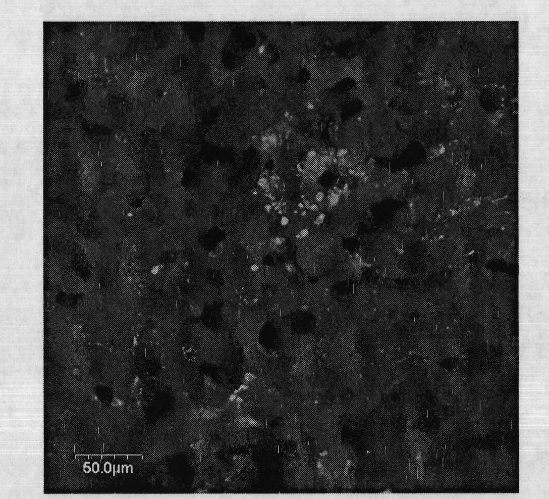 Construction method for oriented gene transfer vector in compound type liver