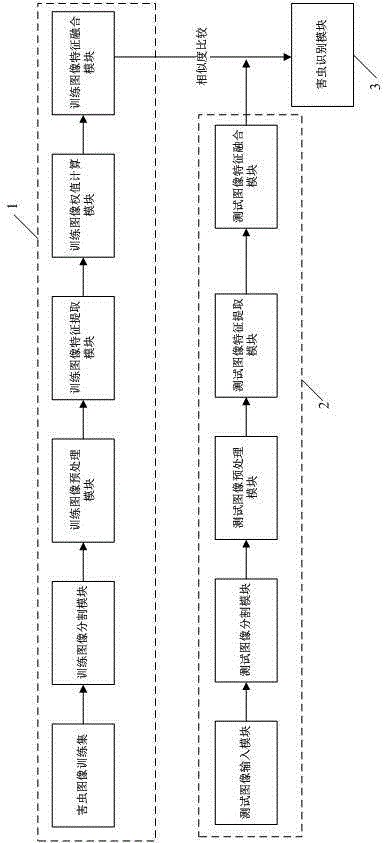 Pest image classification method and pest image classification system based on morphological multi-feature fusion