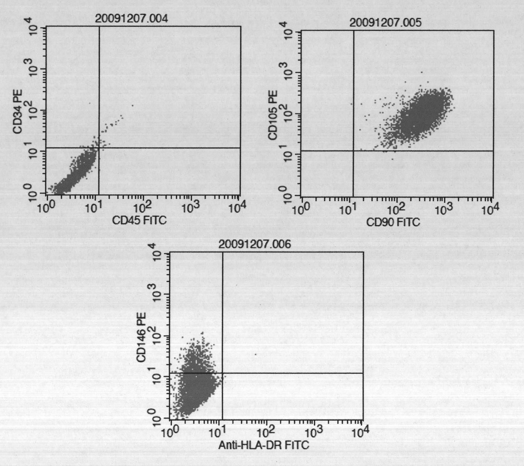 Large-scale preparation method of placenta mesenchymal stem cells