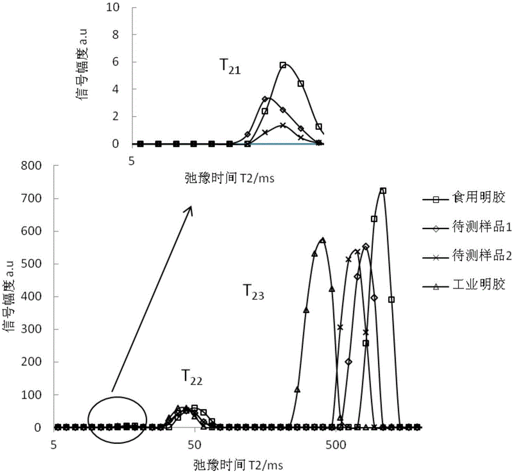 Low field nuclear magnetic resonance detection method of edible gelatin quality