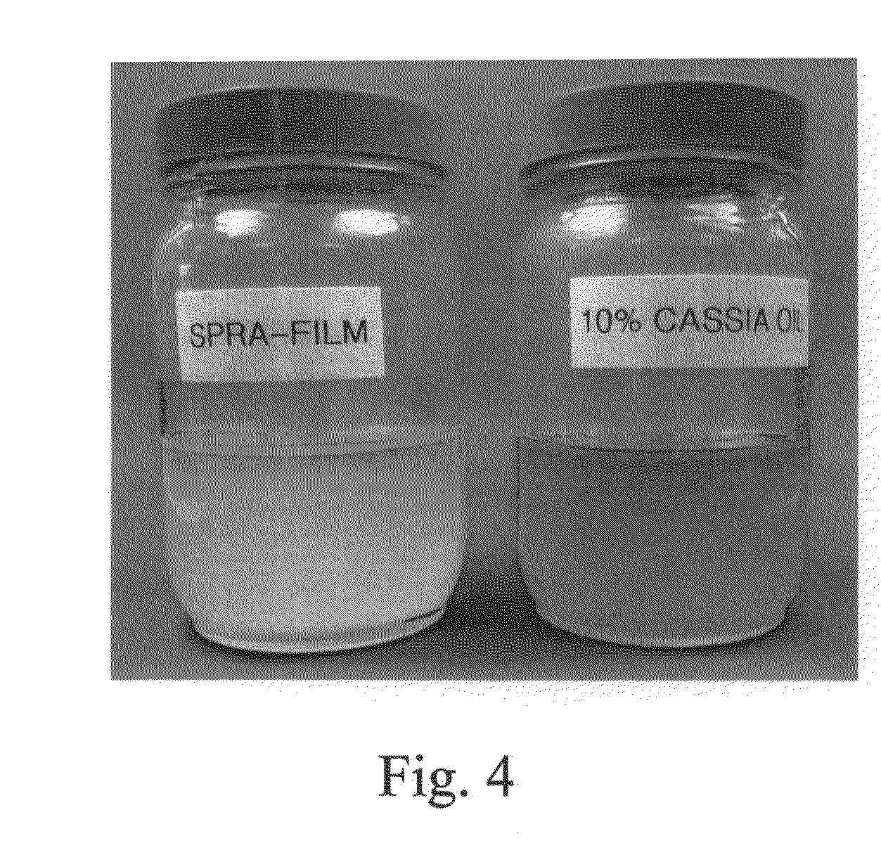 Pan release compositions for preparation of long shelf life, bakery products