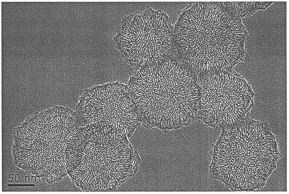 Drug loading system for loading docetaxel based on oxidized single-walled carbon nanohorns