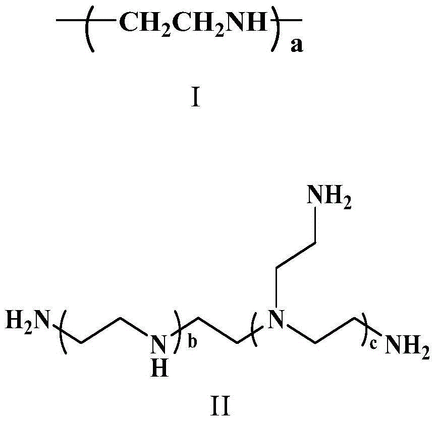 A kind of gene carrier system and its preparation method